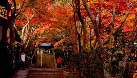 神峰山寺